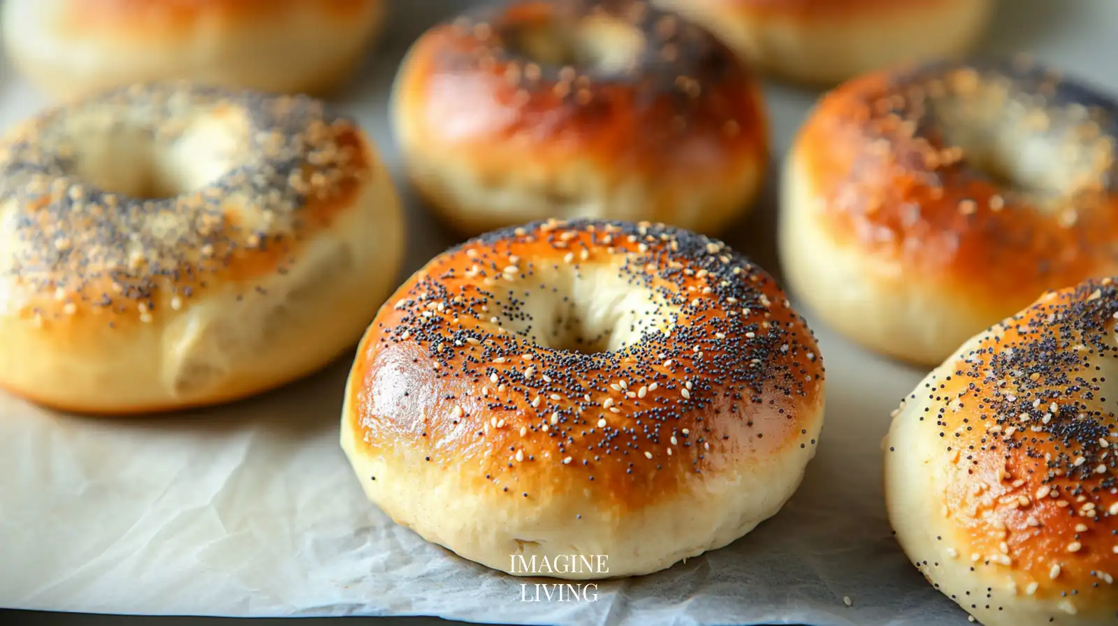 Classic New York Style Bagels