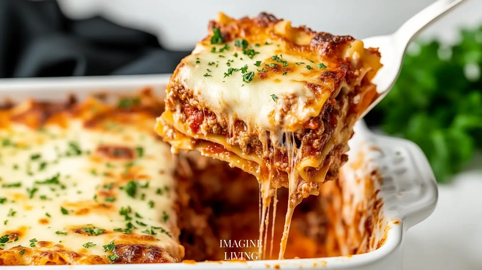 Lasagna_IL_2